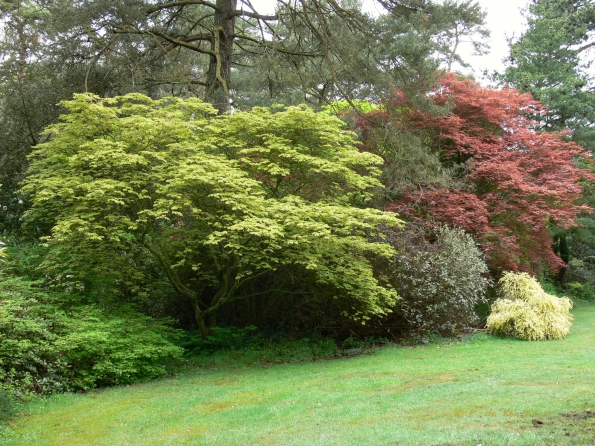 Bois des Moutiers (13) Mai 2012